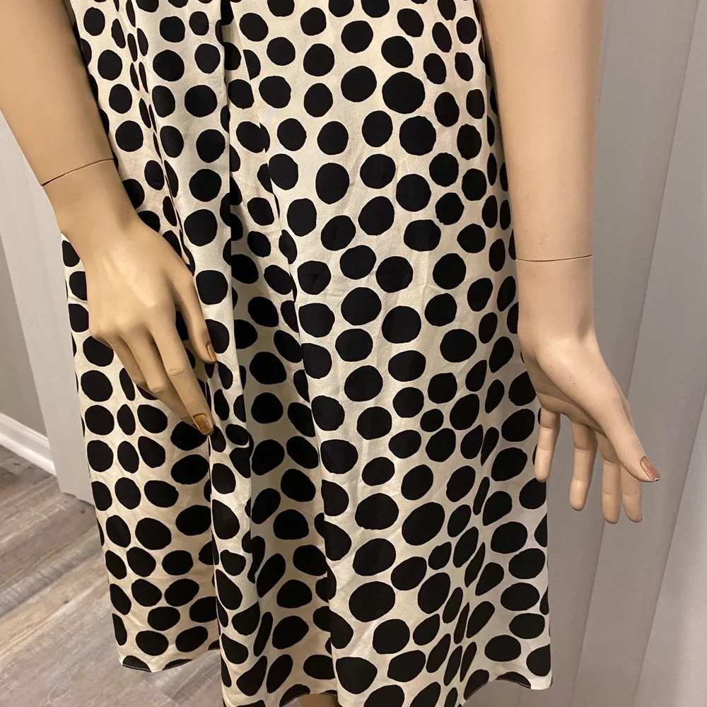 Ann Taylor polkadot dress - Picture 4 of 5